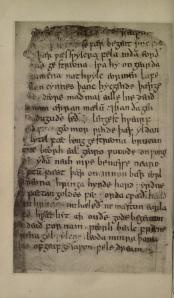 A page of the Beowulf  Manuscript 